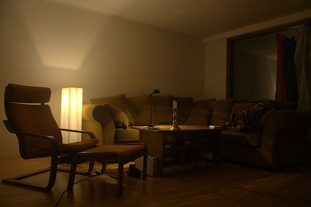 Living Room Light